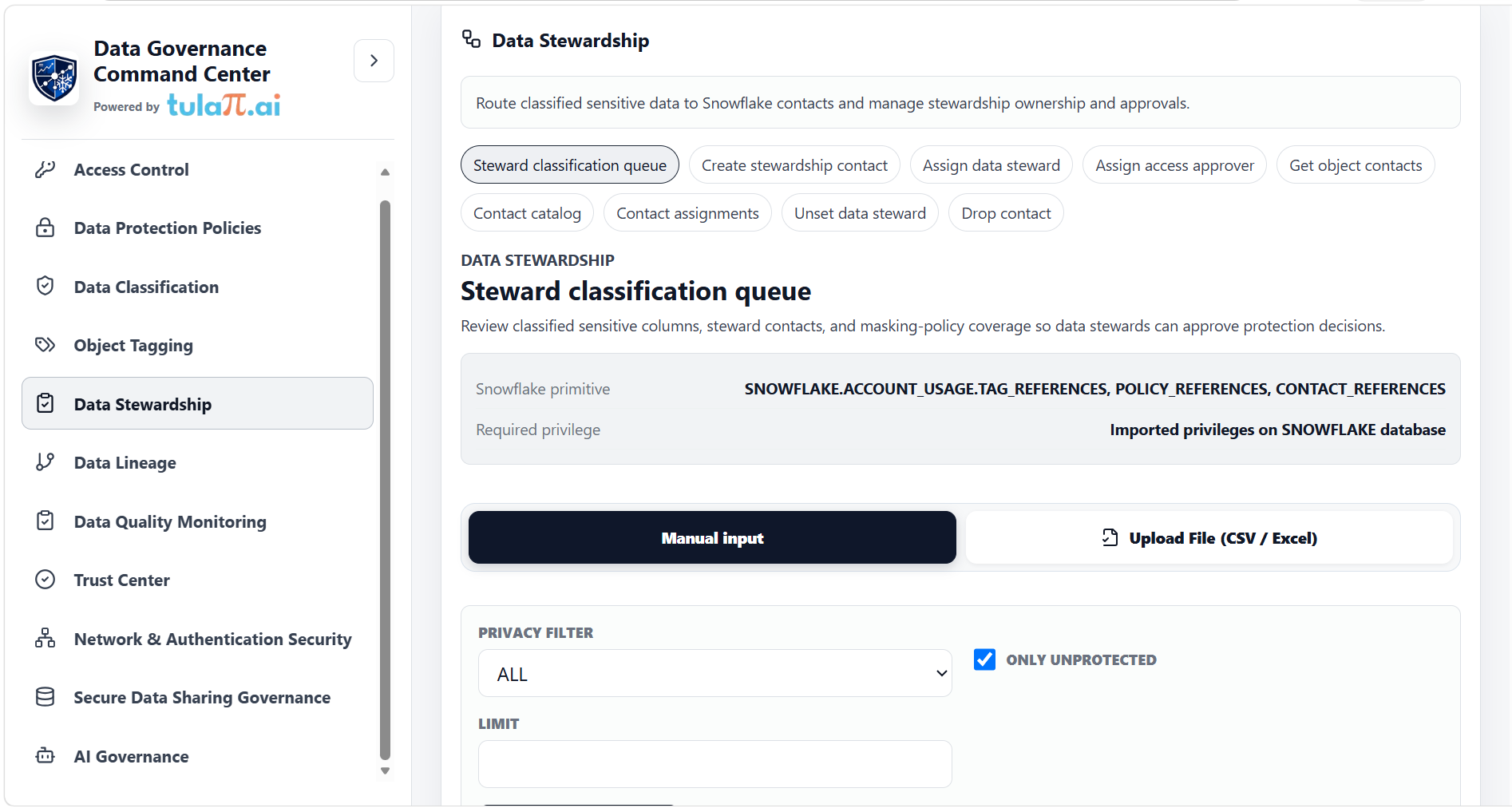 Data Stewardship workspace and classification review queue